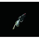 Dega Meeresbeifänger Shrimp Black Dorschfliege